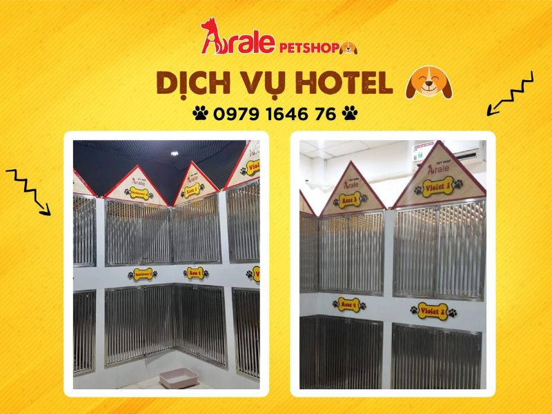 Đánh giá khách sạn dành cho chó mèo Arale Pet Hotel