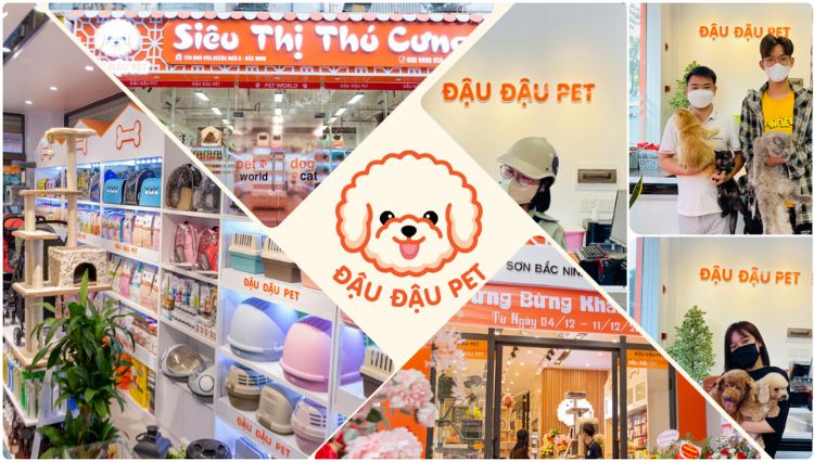 Đậu Đậu Pet - shop thú cưng Bắc Ninh uy tín, sản phẩm chất lượng