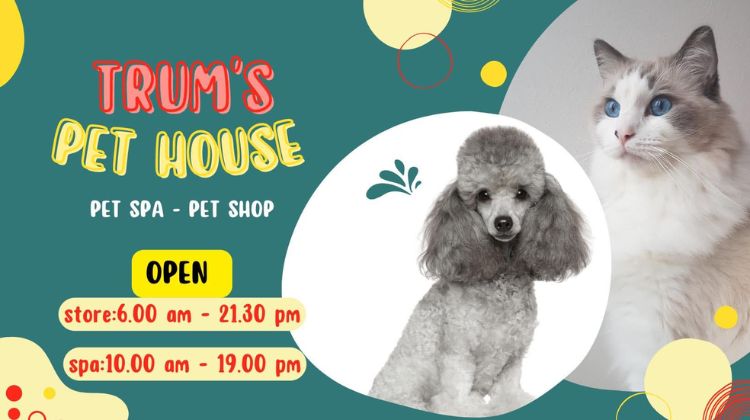 Trum’s Pet House là shop thú cưng quận 12 uy tín, chất lượng