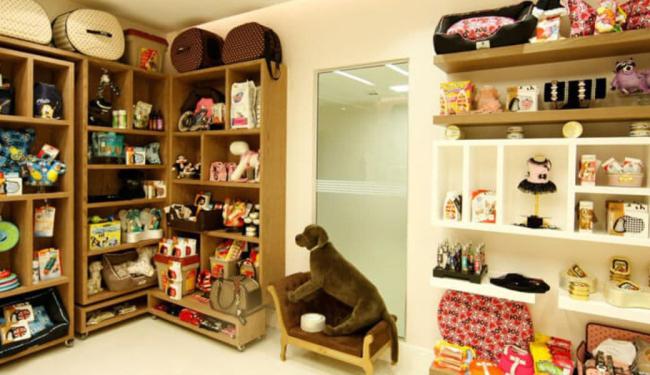 Review 5 cửa hàng thú cưng Bình Thạnh sản phẩm đa dạng, giá rẻ